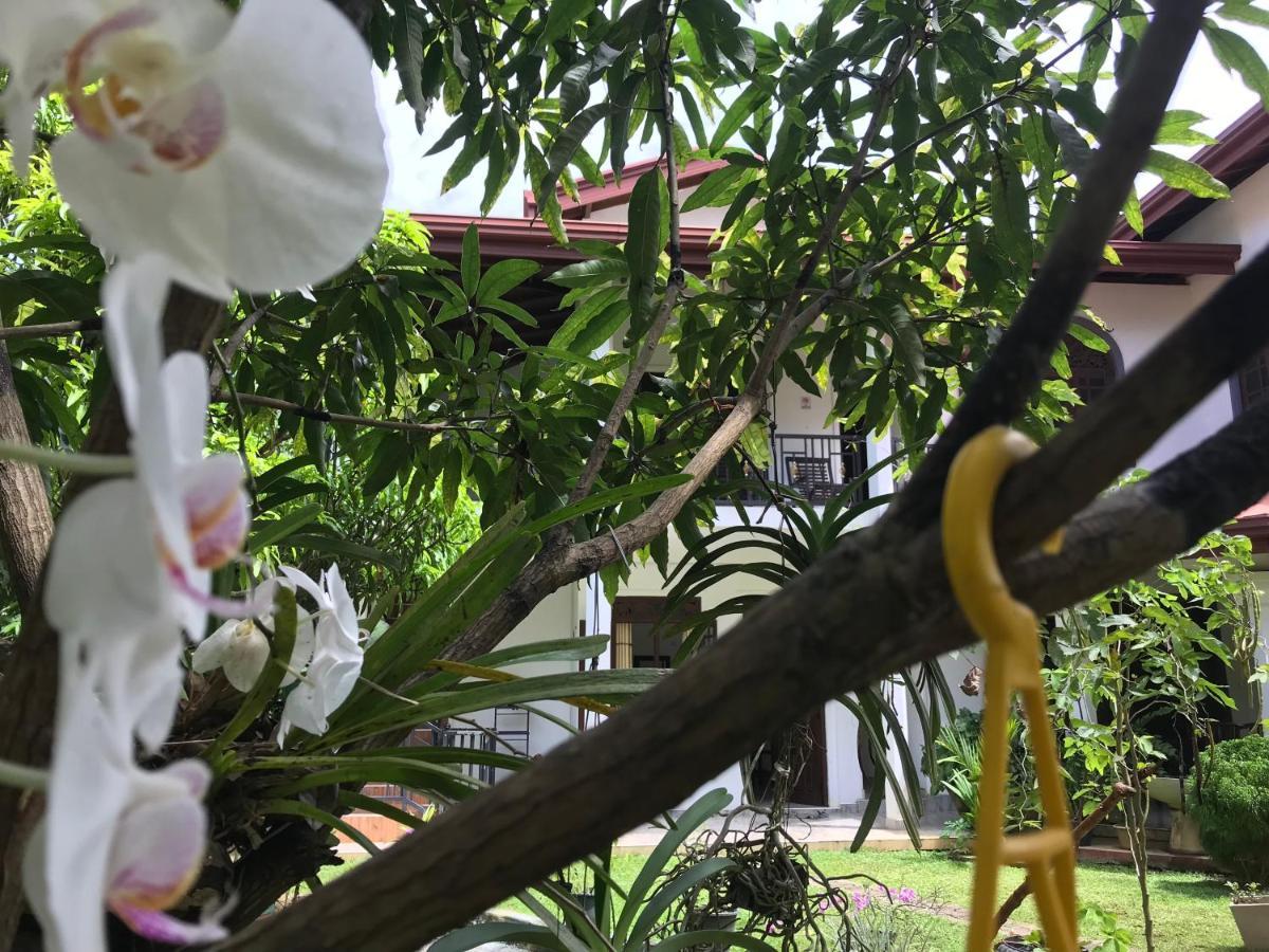 Green Edge Residences Dambulla Eksteriør bilde