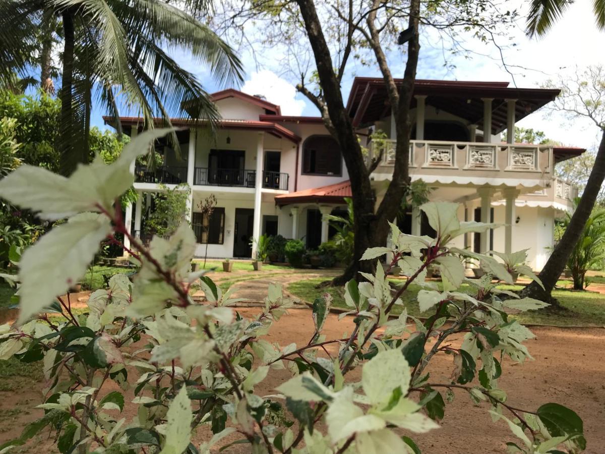 Green Edge Residences Dambulla Eksteriør bilde